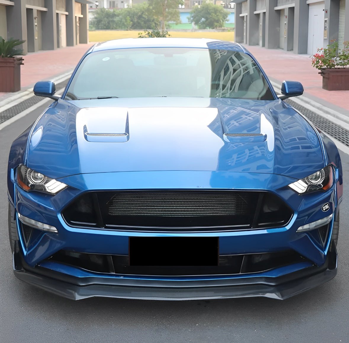 Ford Mustang Carbon Fibre Front Lip (15 - 20)